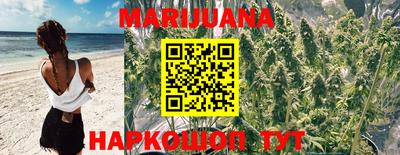 mdma Камышлов