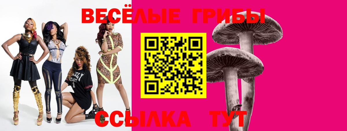 Галлюциногенные грибы Psilocybe  Вход с VPN  купить  сайты  Саров 